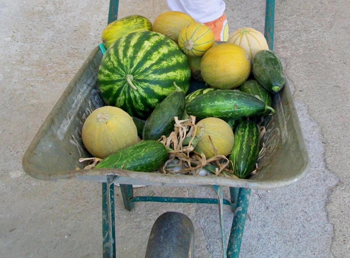 Masseria La Lizza - Ospitalita Rurale Lecce Bagian luar foto