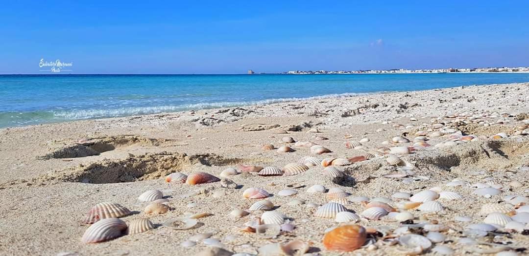 Masseria La Lizza - Ospitalita Rurale Lecce Bagian luar foto