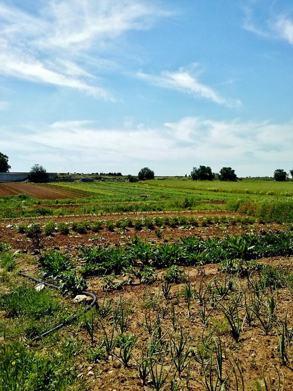 Masseria La Lizza - Ospitalita Rurale Lecce Bagian luar foto